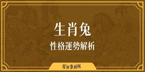 豬 兔|生肖兔性格優缺點、運勢深度分析、年份、配對指南